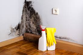 Reliable Woodinville, WA Mold Prevention & Removal  Solutions